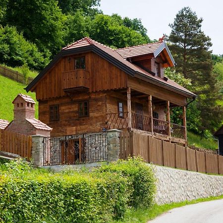 Vila Trnoruzica 투헬즈 외부 사진