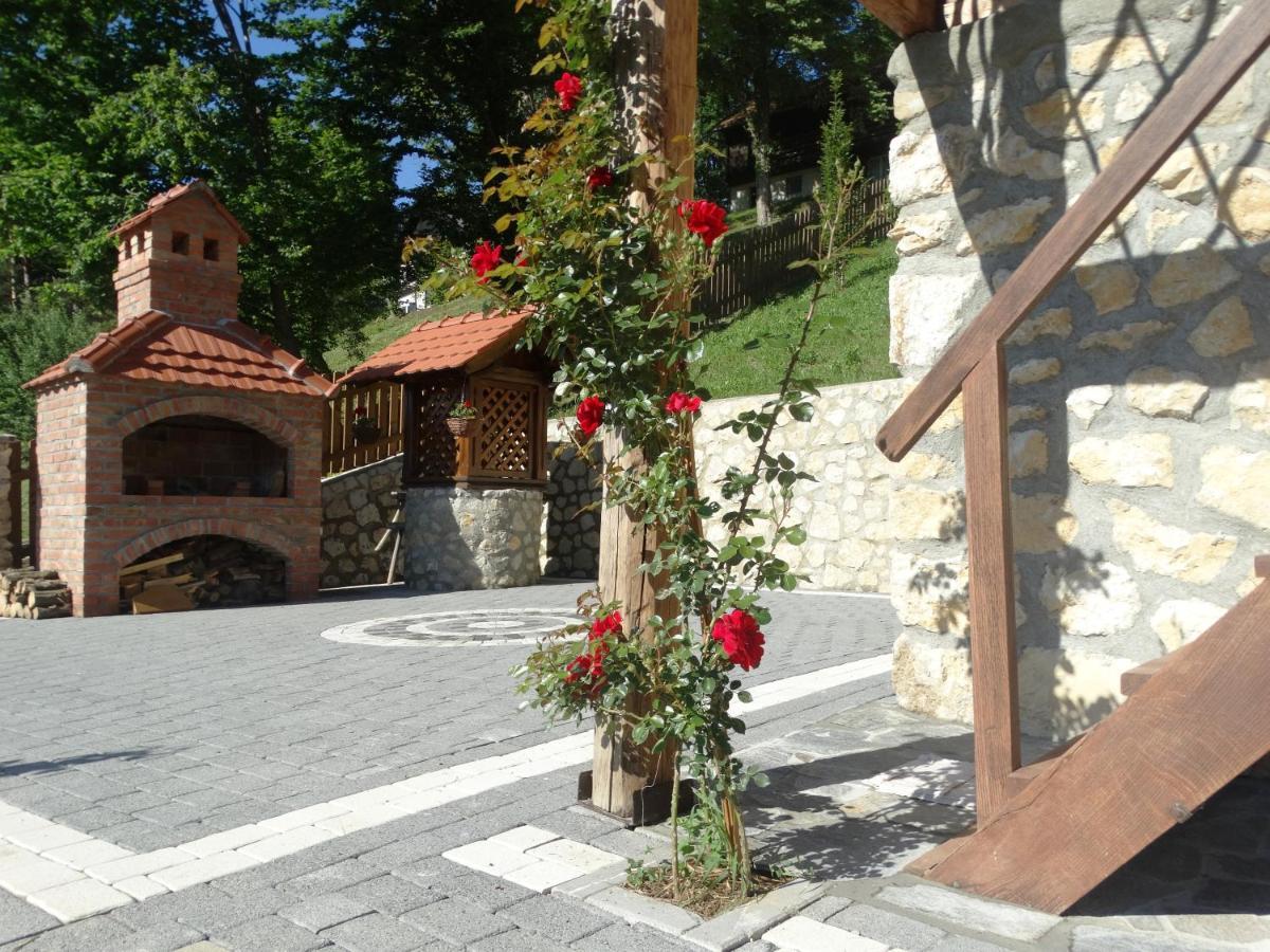 Vila Trnoruzica 투헬즈 외부 사진